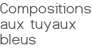 Compositions aux tuyaux bleus