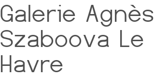 Galerie Agnès Szaboova Le Havre