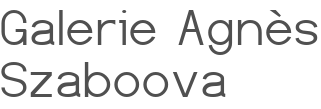 Galerie Agnès Szaboova