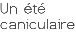 Un été caniculaire
